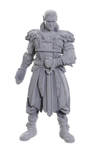 Gamers Guild AZ WizKids Dungeons & Dragons: Nolzur's Marvelous Unpainted Miniatures - Special BG3 Edition: Jaheira & Halsin (Pre-Order) AGD