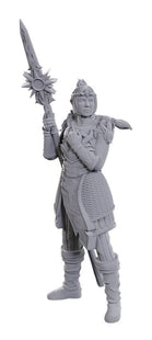 Gamers Guild AZ WizKids Dungeons & Dragons: Nolzur's Marvelous Unpainted Miniatures - Special BG3 Edition: Lae'zel & Shadowheart (Pre-Order) AGD