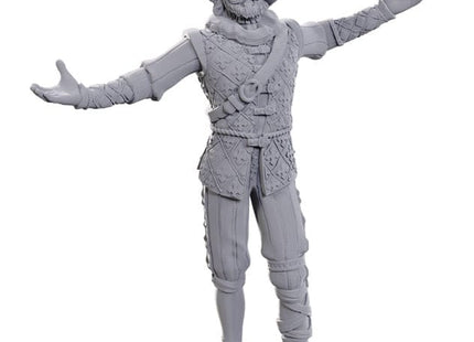Gamers Guild AZ WizKids Dungeons & Dragons: Nolzur's Marvelous Unpainted Miniatures - Special BG3 Edition: Volo & Withers (Pre-Order) AGD