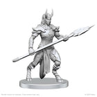 Gamers Guild AZ WizKids Pathfinder Battles Deep Cuts: Vordine/Infantry Devil & Pitborn Rogue Miniatures (Pre-Order) AGD
