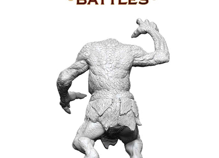 Gamers Guild AZ WizKids WZK90870: Pathfinder Battles Deep Cuts Unpainted Miniatures - Forest Troll (Pre-Order) AGD