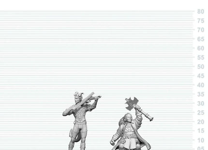 Gamers Guild AZ WizKids WZK90885 D&D Nolzur's Marvelous Miniatures: Tiefling Bard & Dwarf Cleric (Pre-Order) Southern Hobby