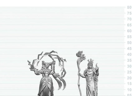 Gamers Guild AZ WizKids WZK90886 D&D Nolzur's Marvelous Miniatures: Human Druid & Elf Sorcerer (Pre-Order) Southern Hobby