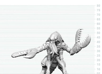 Gamers Guild AZ WizKids WZK90900 D&D Nolzur's Marvelous Miniatures: Chuul (Pre-Order) Southern Hobby
