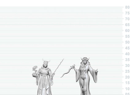 Gamers Guild AZ WizKids WZK90919: D&D Nolzur's Marvelous Miniatures: Cultist Fanatic & Hierophant (Pre-Order) AGD