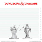 Gamers Guild AZ WizKids WZK90919: D&D Nolzur's Marvelous Miniatures: Cultist Fanatic & Hierophant (Pre-Order) AGD