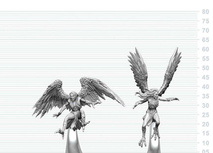 Gamers Guild AZ WizKids WZK90925: D&D Nolzur's Marvelous Miniatures: Harpies (Pre-Order) AGD